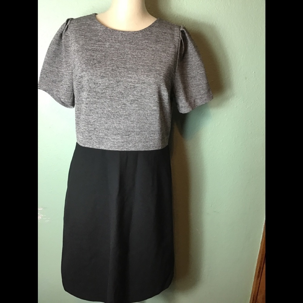 Loft women’s black/gray back zip dress size 12